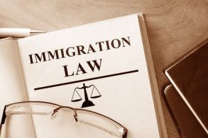 Immigration Attorney Houston